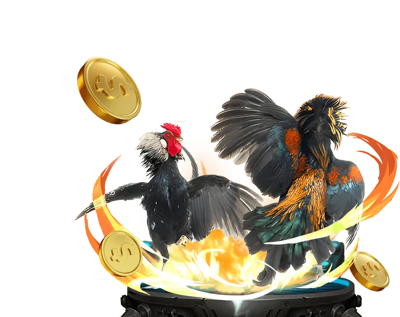 Khuyến mãi cá cược thể thao ku11