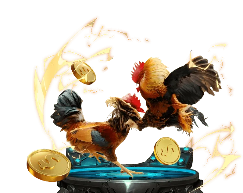 Hình ảnh minh họa hệ thống lưu trữ dữ liệu an toàn của ku11